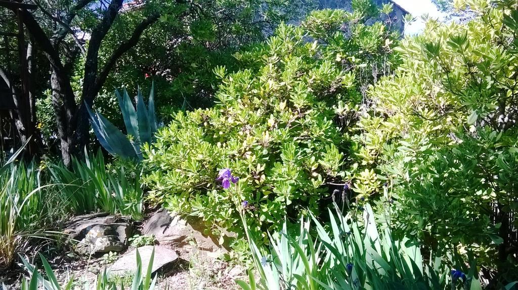 Mas Montebello Rigarda Luaran gambar